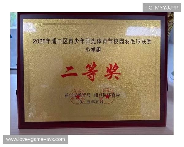 羽毛球运动商业化路径：俱乐部、联赛与市场联动